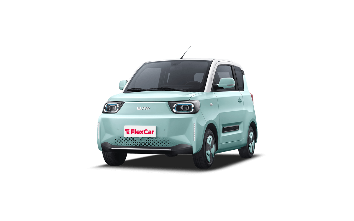 BAW Pony Luxury | FlexCar